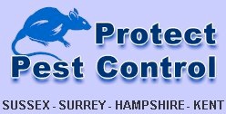 Protect Pest Control, Sussex - Surrey - Hampshire - Kent.